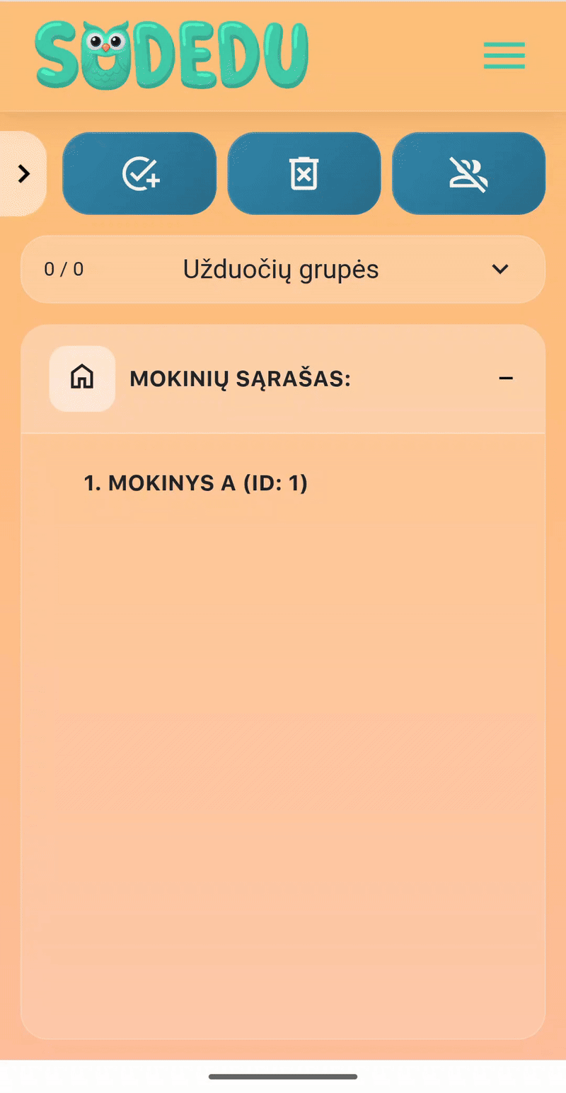 Užduoties peržiūra